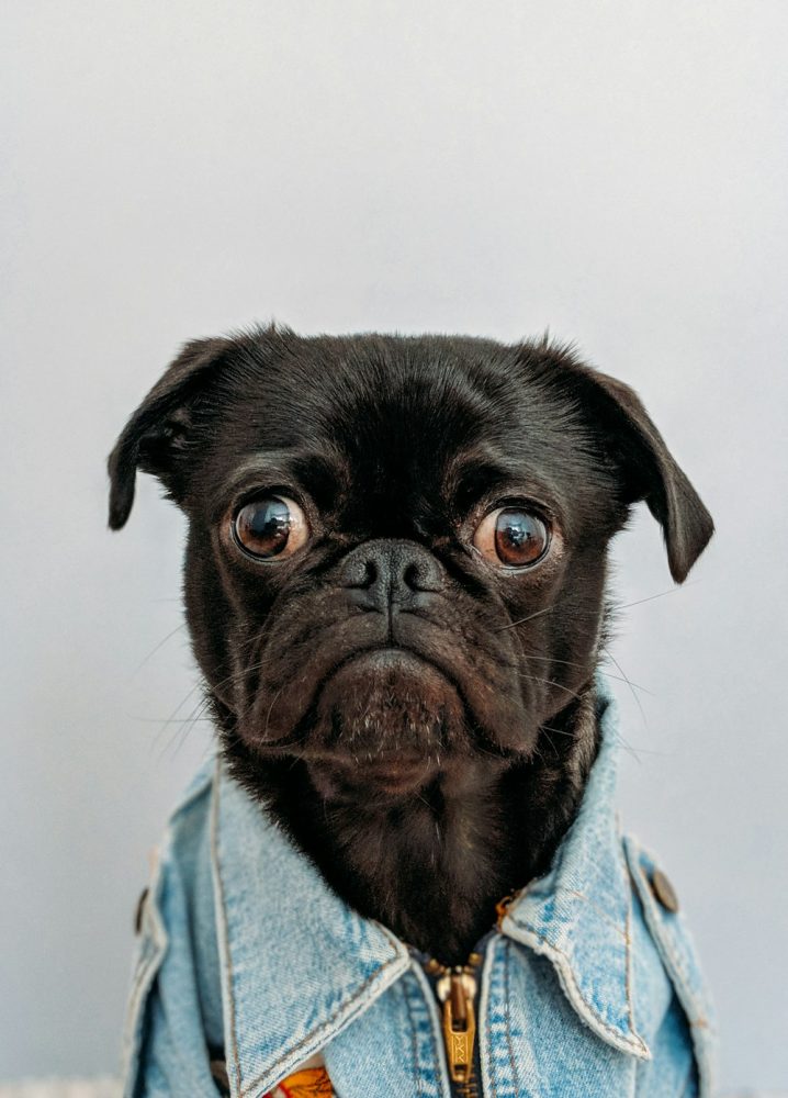 Foto de Fred