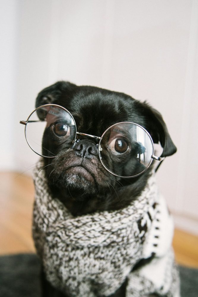 Foto de Fred